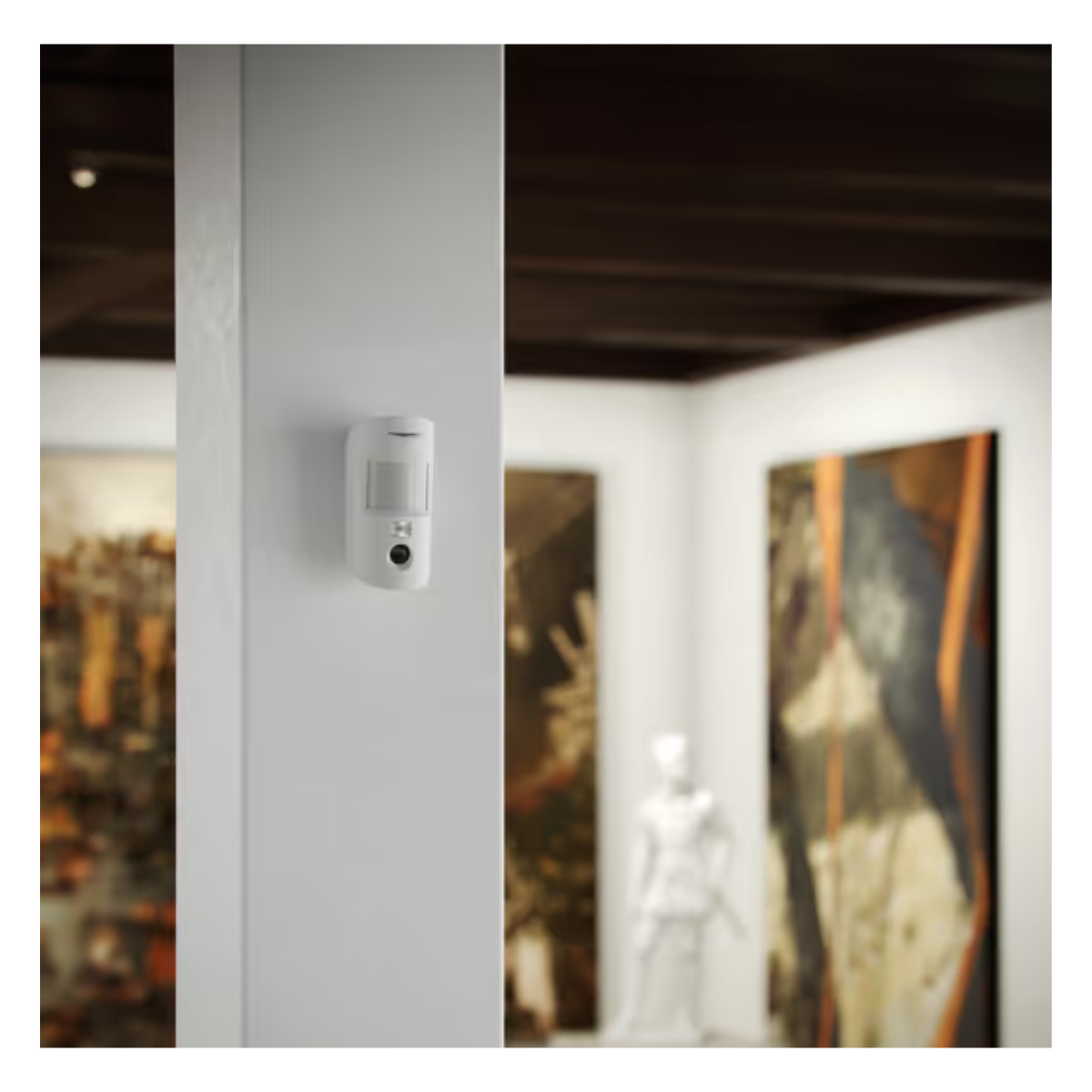 Ajax app showing MotionCam HDR alarm photos